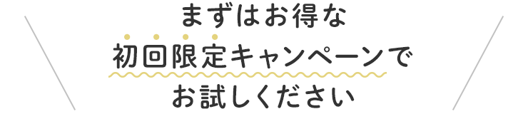 初回限定キャンペーンをお試しください